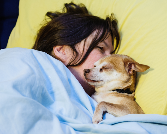Peut-on vraiment dormir avec son chien dans son lit ?