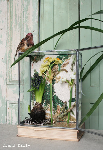 caroline davis stylist, trend daily blog, styling details, terranium, plants in a box, spring bulbs