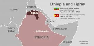 US Sees Significant Risk That Tigray Conflict Will Spread Beyond Region