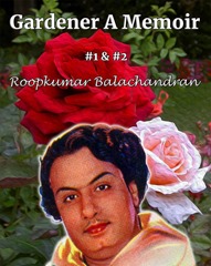 book_3_cover_kindle_edition