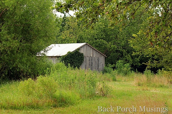 countryliving19