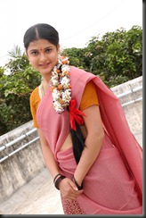 nicole in saree pic
