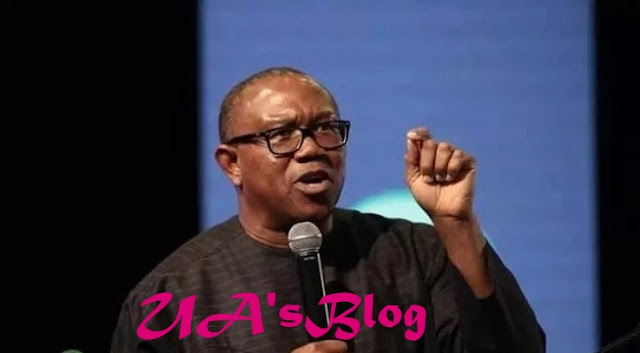 What I will do to El-Rufai for calling me ‘tribal bigot’- Peter Obi