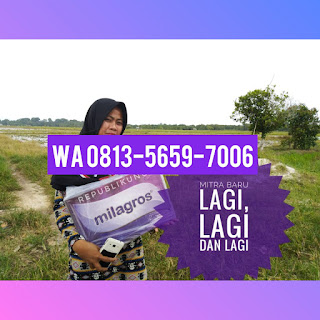 Milagros Untuk Jantung Surabaya, Kenjeran - Tambak Wedi Milagros Untuk Jantung Surabaya, Kenjeran - Tambak Wedi