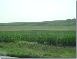 DSC02436