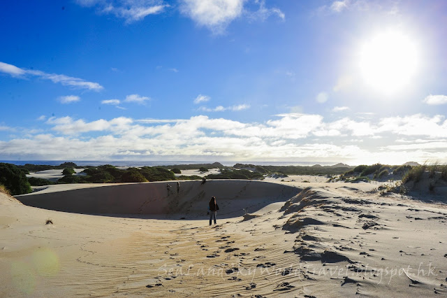 Henty Dunes