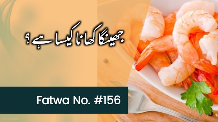 جھینگا کھانا کیسا ہے؟