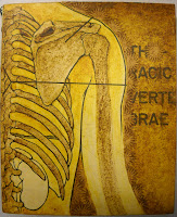 A yellow-toned illustration of the bones of the ribcage and shoulder.