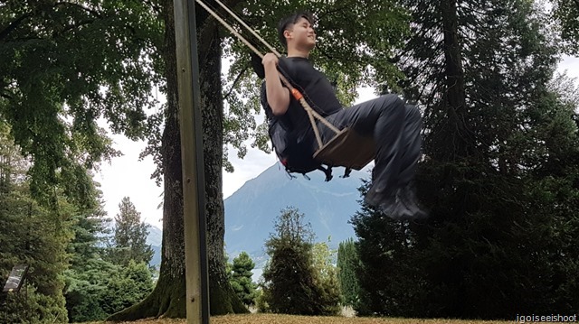 Swinging at playground. Oberhofen Castle garden on the shore of  Lake Thun