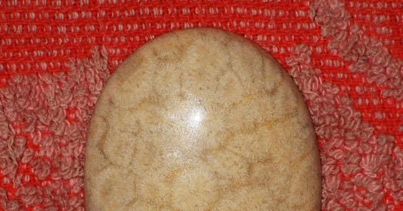 Batu permata akik fosil bunga karang hexagon 2 - Unikversiti