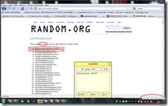 SORTEIO RANDOM - 021011