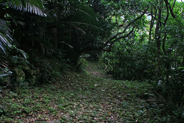 石畳道(場天御嶽)の写真