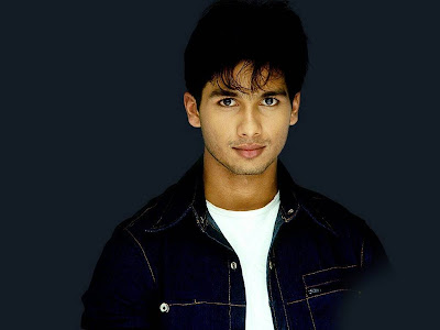 Shahid Kapoor Normal Resolution HD Wallpaper 11