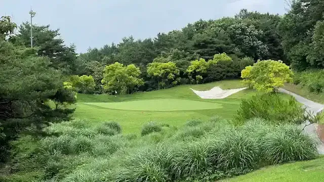 대영베이스 CC 인코스 7번 파 3홀 모습
