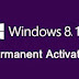 Windows 8.1 pro Activator