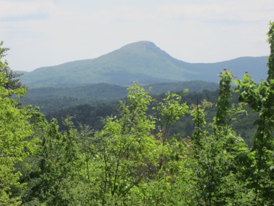 IMG 0809