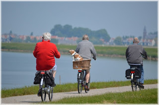 Pensioners and retirees control democracy at the expense of youth