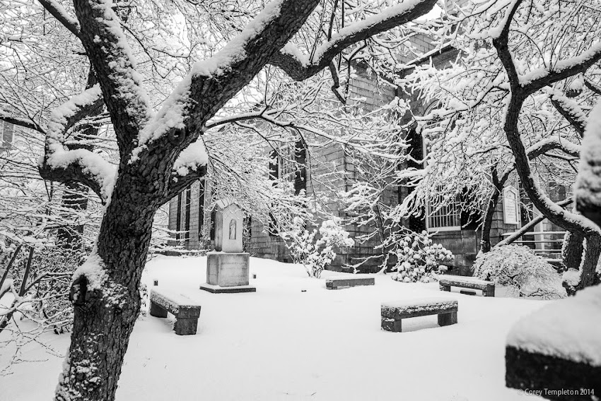 Portland, Maine Winter Snow January 2014 Congress Street photo by Corey Templeton