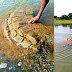 500 year old Hindu temple submerged in the Mahanadi, Odisha was recently found  