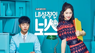 Drama Korea Introverted Boss Subtitle Indonesia