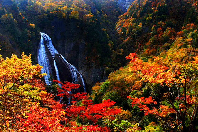 Autumn In Japan3