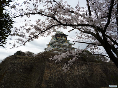 大阪城と桜