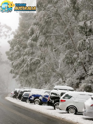 Foto Mobil Bersalju di Mt Buller