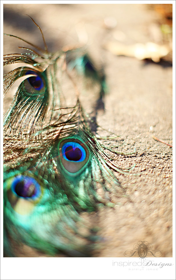 Vintage Peacock Wedding