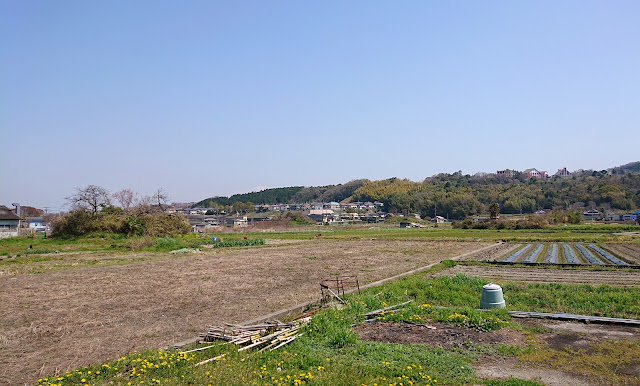 西野々古墳群(富田林市)