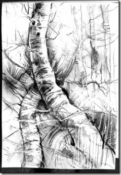 birch-charcoal-bg