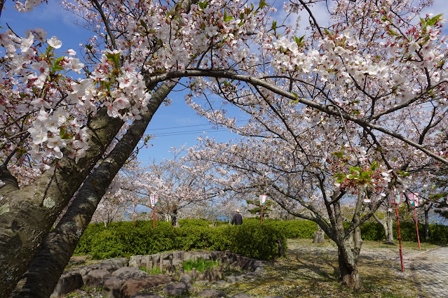 鳥取県西伯郡大山町御来屋 名和公園