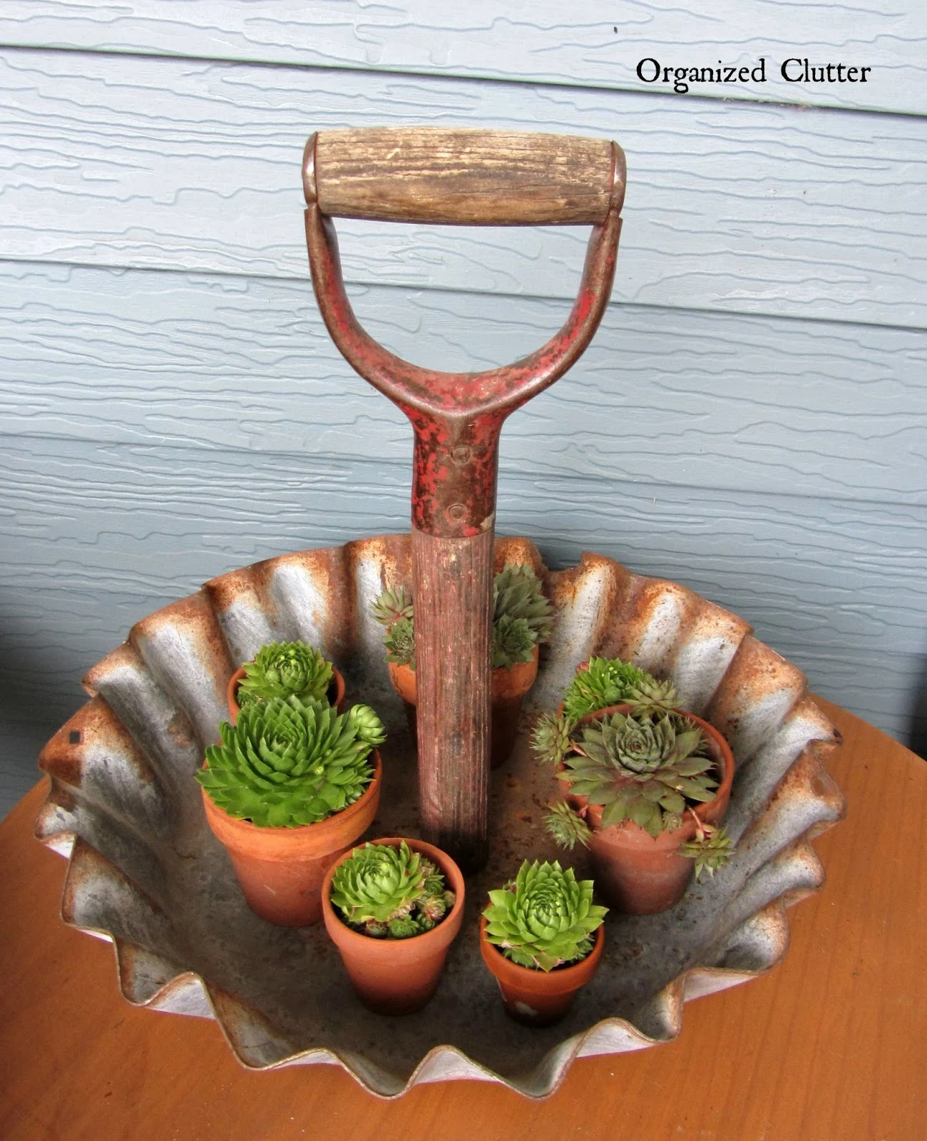 Rustic Shovel Handle Display Tray www.organizedclutterqueen.blogspot.com