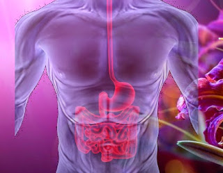 Tentang Penyakit Gastroesophageal Reflux Disease (GERD)