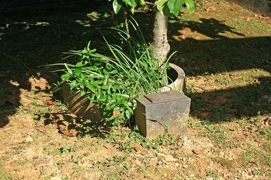 スクブ御嶽(すくぶ公園)の写真