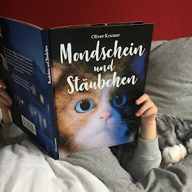 "Mondschein und Stäubchen" von Oliver Kramer, Buchvorstellung auf Kinderbuchblog Familienbücherei