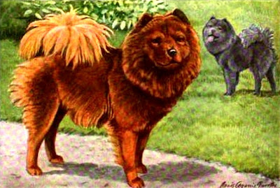 Chow or Chow Chow