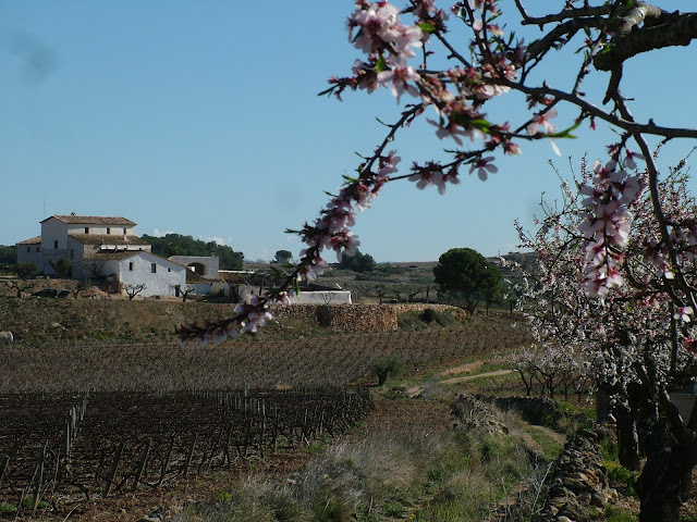RUTA DE LES ERMITES (I); Masia de Cal Llagostera i carrerada del Camí Ral