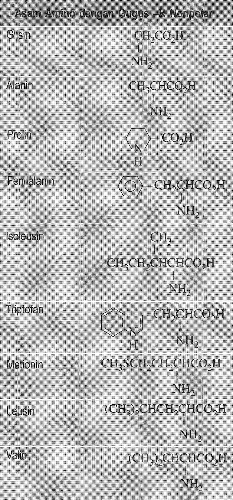 KIMIA ORGANIK II proteinProtein merupakan senyawa 