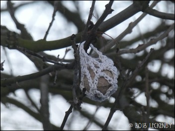 P1240577sm