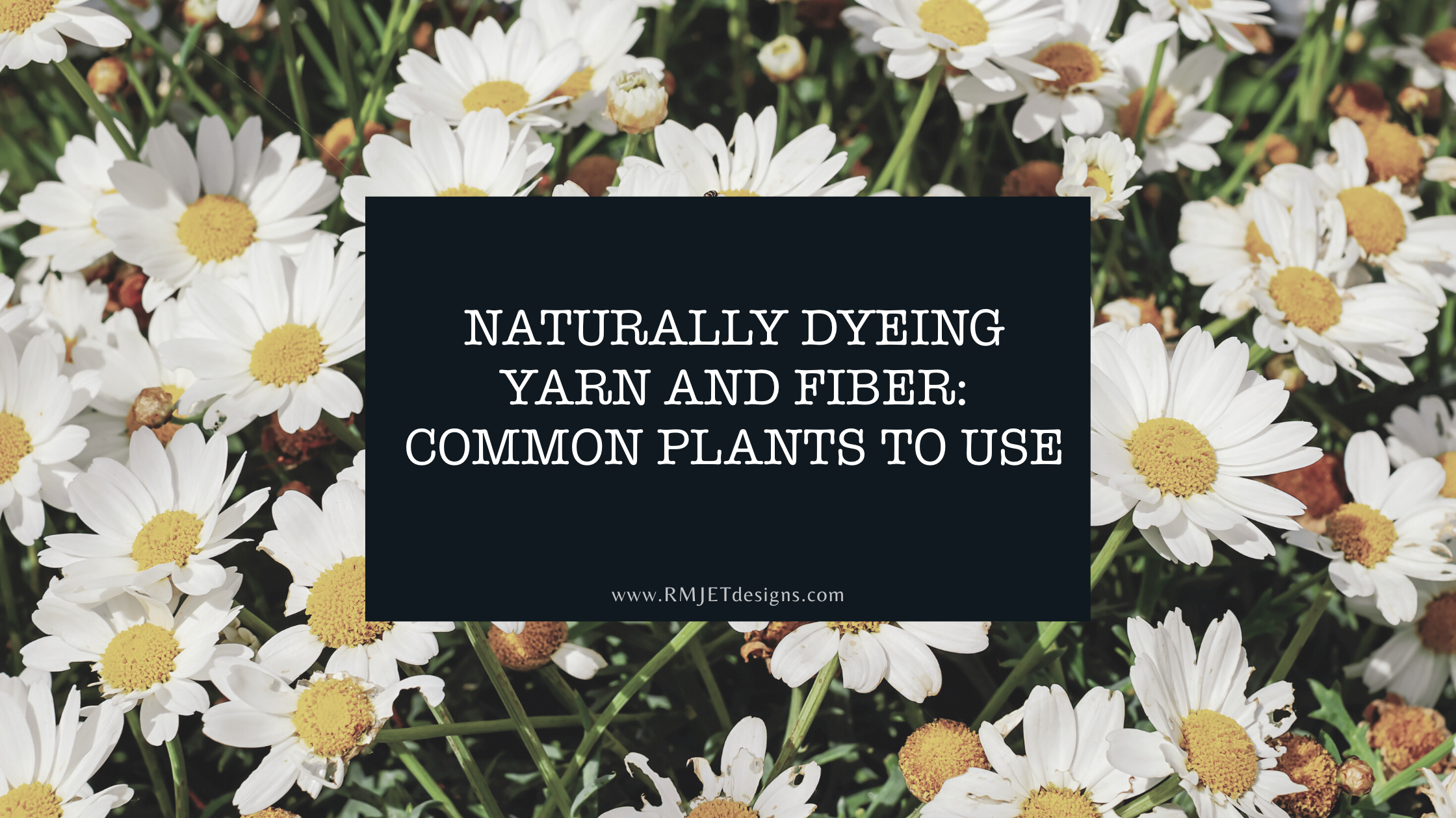 NATURALLY DYEING YARN AND FIBER: COMMON PLANTS TO USE by RMJETdesigns