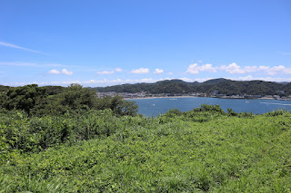 大崎公園から見た逗子海岸