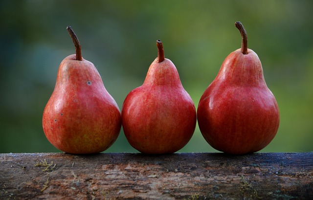 Can Dogs Eat Pear? Is Pear Safe For Dogs?