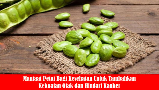 Manfaat Petai Bagi Kesehatan Untuk Tambahkan Kekuatan Otak dan Hindari Kanker