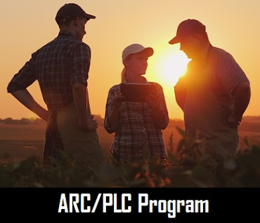 ARC/PLC Program