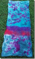 IAA Dye party seven