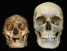 3½ feet tall Hobbit-Like Human Ancestor (Homo Floresienses) found in Asia