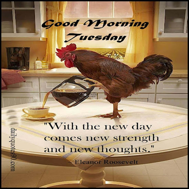 cock, good morning tuesday.