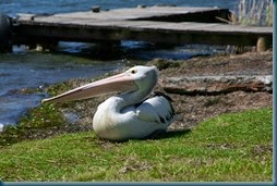 IMG_9161