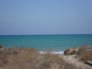 El Saler nudist Beach Photo - Valencia - Spain