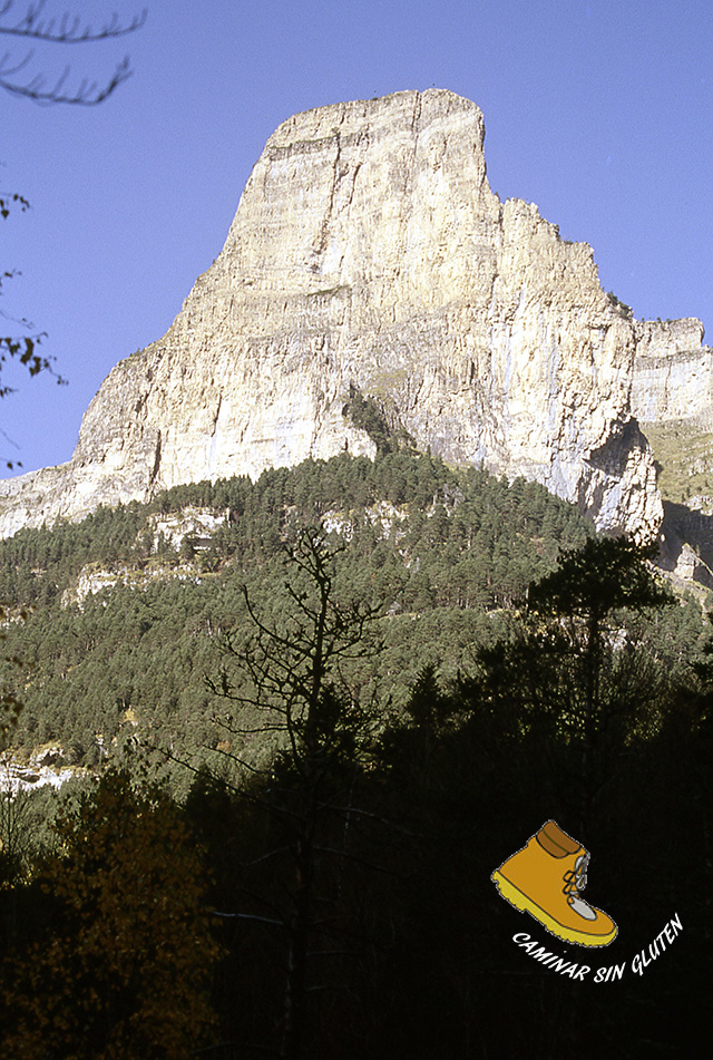 TOZAL DEL MALLO VALLE DE ORDESA OTOÑO 2001